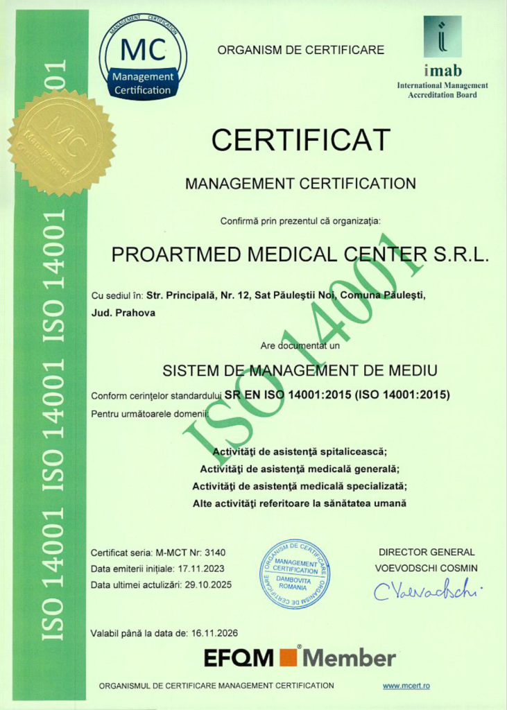 ISO 14001 2015